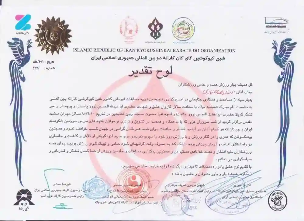 افتخارات باشگاه ورزشی آرین رزم